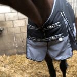 Water- en winddichte paardendeken 300 gram - zwart/grijs