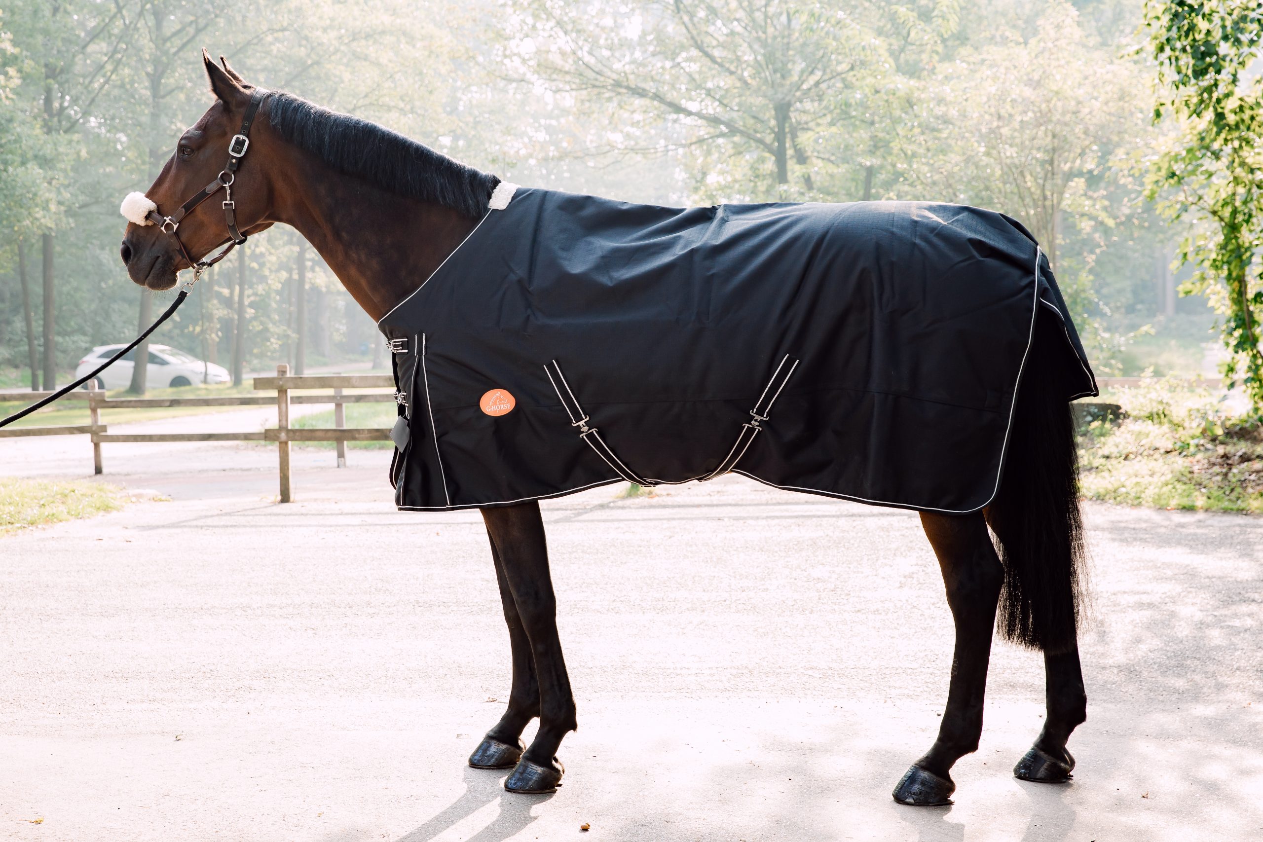 Water- winddichte paardendeken gram - zwart 1200 DN