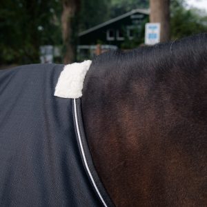 Paardendeken 200 gram